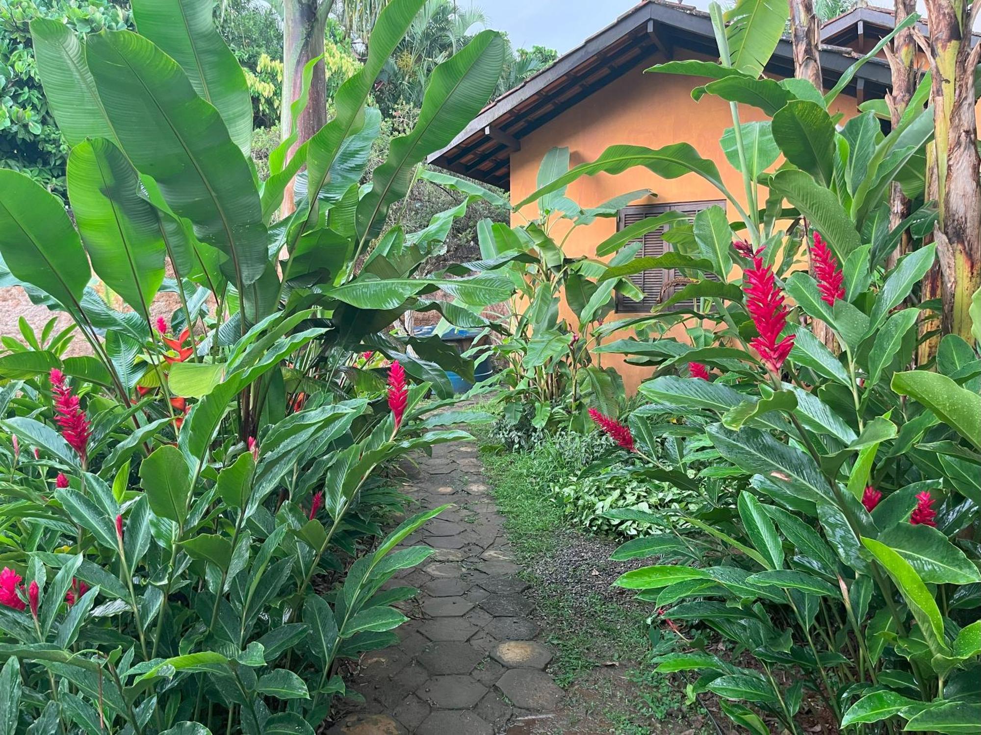 Apartment Camburi